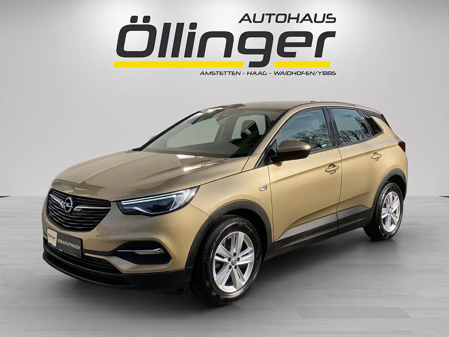 Opel Grandland X 1,2 Turbo Edition + AHV + NAVI + WR + Winterpaket Gold - 1