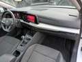 Volkswagen Golf 1000 TSI LIFE 110CV CARPLAY CLIMAUTO"16 ITALIA Wit - thumbnail 7