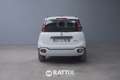 Fiat Panda 1.0 Firefly Hybrid 70CV Cross 5p.ti Bianco - thumbnail 5