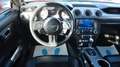 Ford Mustang Shelby GT 350 CarPlay StandHz Kamera Rot - thumbnail 11
