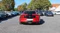 Ford Mustang Shelby GT 350 CarPlay StandHz Kamera Rot - thumbnail 5