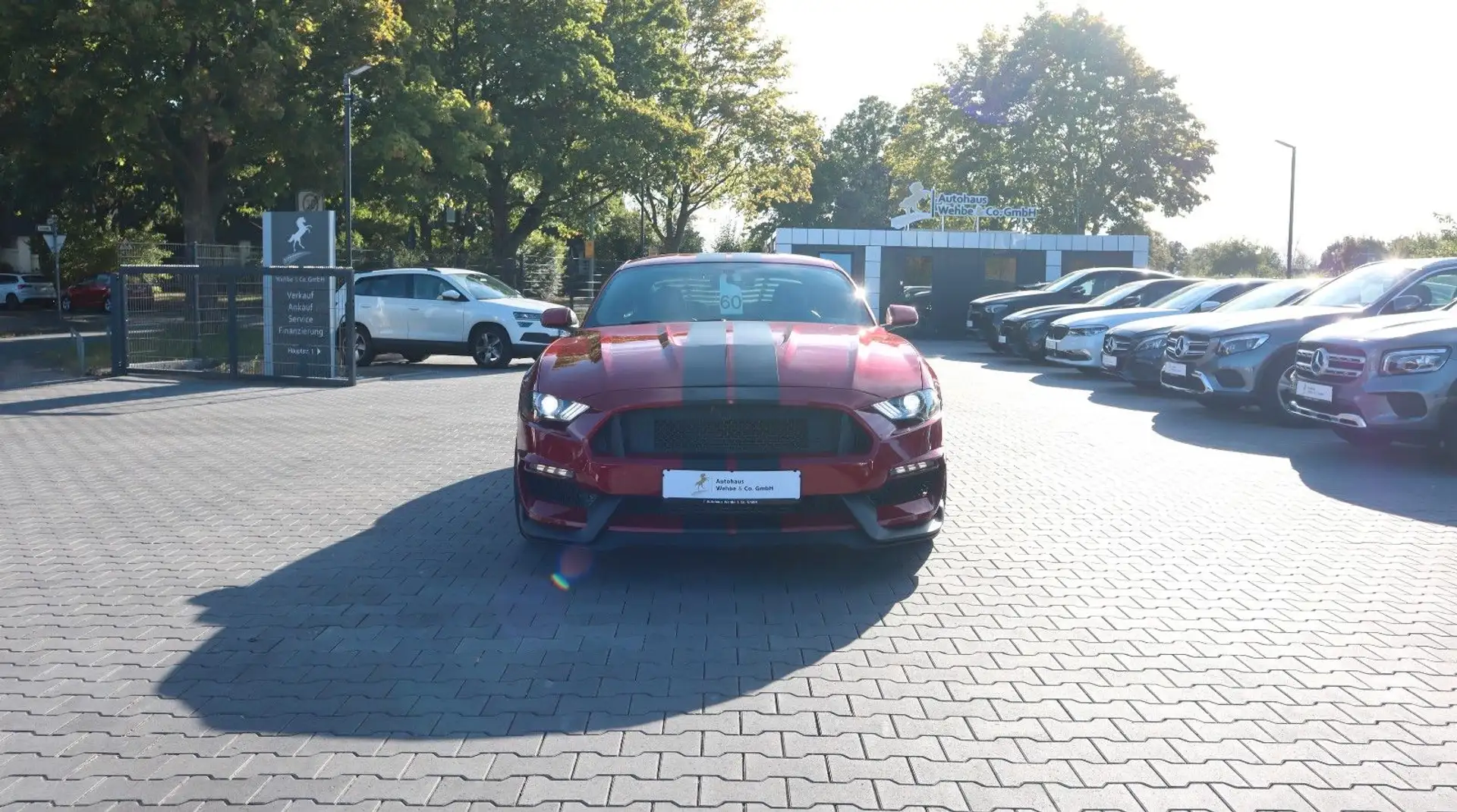 Ford Mustang Shelby GT 350 CarPlay StandHz Kamera Rot - 2