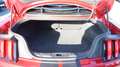 Ford Mustang Shelby GT 350 CarPlay StandHz Kamera Rot - thumbnail 14