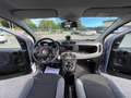 Fiat Panda Panda GH709TJ 1.0cc hybrid City Life Grigio - thumbnail 6