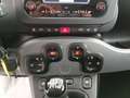 Fiat Panda III 2021 1.0 firefly hybrid City Life s&s 70cv 5p bijela - thumbnail 13