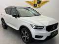 Volvo XC40 Allrad Diesel R-Design // PANO // STANDHEIZUNG // XENIUM-PAKET // Weiß - thumbnail 39