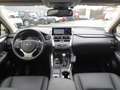 Lexus NX 300h 300h Executive Line E-Four + Standheizung Grün - thumbnail 12