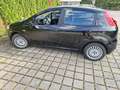 Fiat Punto Punto 1.2 8V Classic Schwarz - thumbnail 4