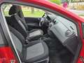 SEAT Ibiza 1.0 Reference 75 Rojo - thumbnail 8