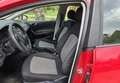 SEAT Ibiza 1.0 Reference 75 Rojo - thumbnail 6