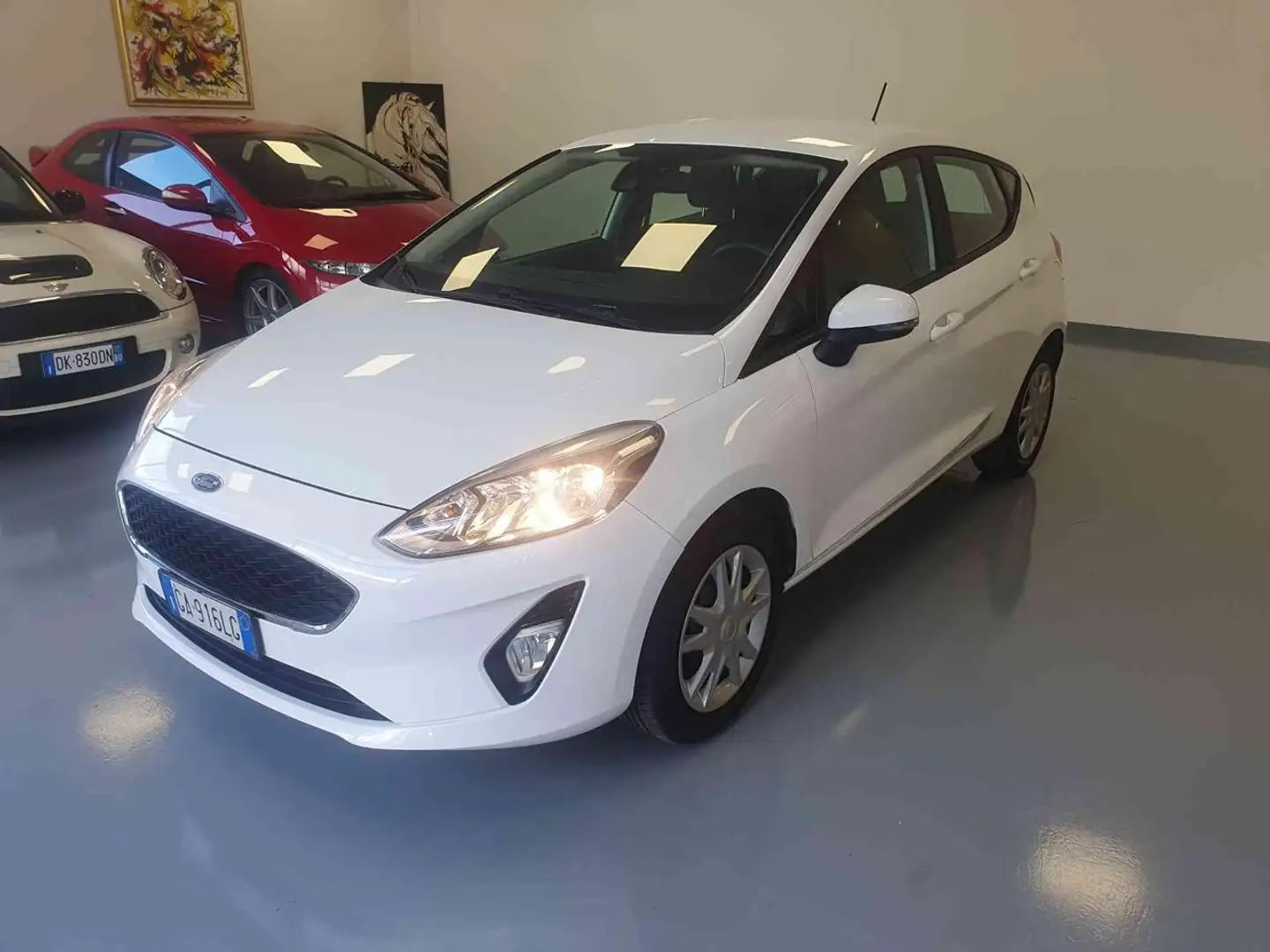 Ford Fiesta 1.5 EcoBlue 5 porte Business Bianco - 1