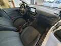 Ford Fiesta 1.5 EcoBlue 5 porte Business Bianco - thumbnail 14