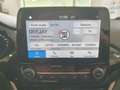 Ford Fiesta 1.5 EcoBlue 5 porte Business Weiß - thumbnail 16