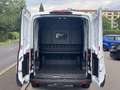 Ford Transit Transit Kasten DoKa 2,0 EcoBlue L2H2 350 Trend Weiß - thumbnail 5