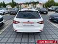 Skoda Superb Combi Ambition 2.0 TDI Alu Navi Klimaautomatik Weiß - thumbnail 4