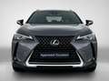 Lexus UX 250h Business Line Grijs - thumbnail 23