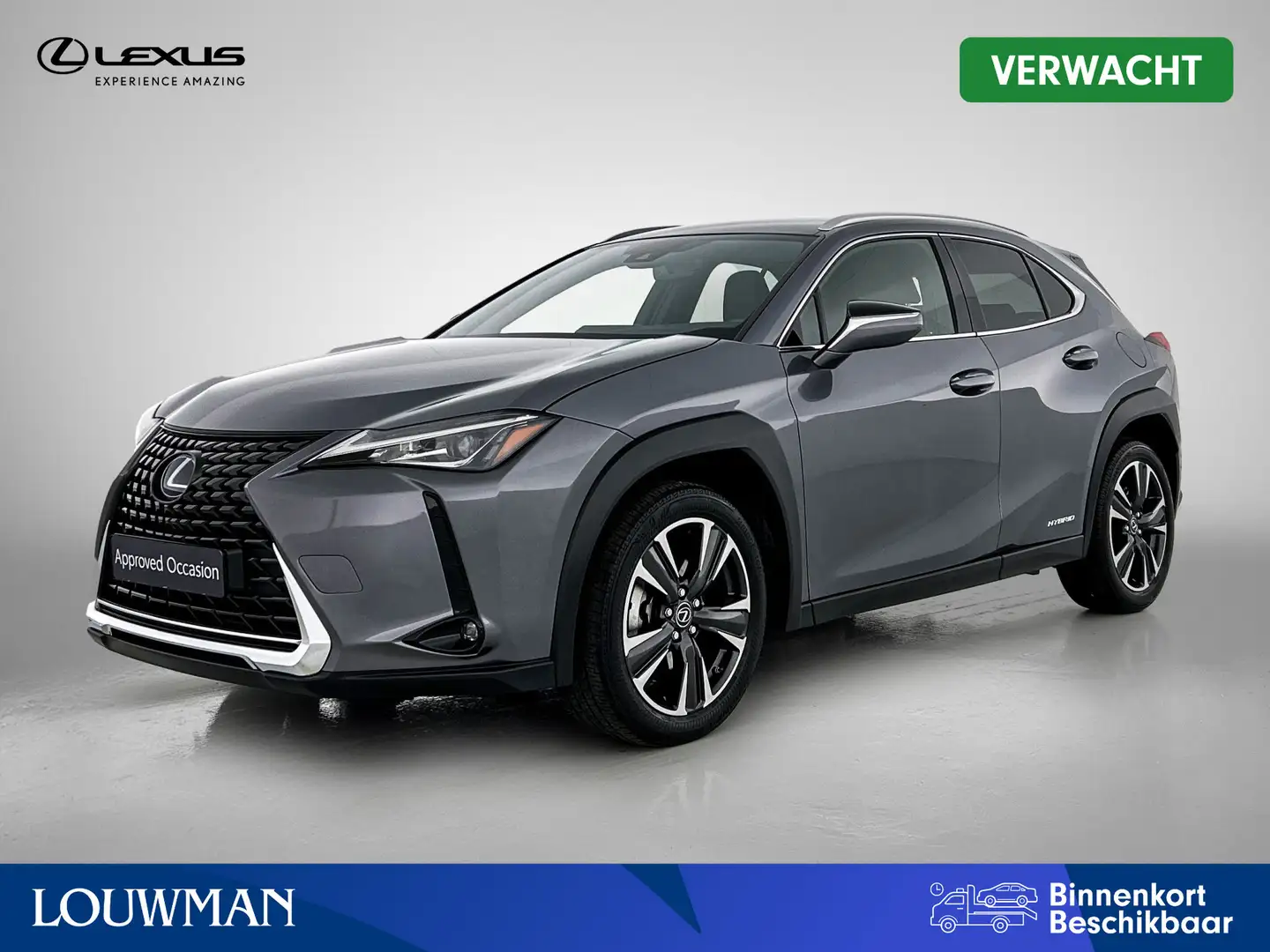 Lexus UX 250h Business Line Grijs - 1