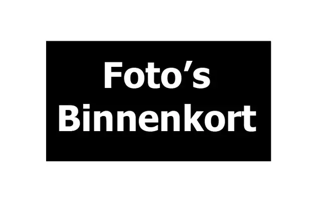Renault Kangoo Z.E. Maxi Leer 1X Schuifdeur Airco