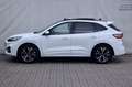 Ford Kuga Kuga 2.5 Duratec Plug-in-Hybrid PHEV ST-Line X Blanc - thumbnail 3