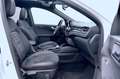 Ford Kuga Kuga 2.5 Duratec Plug-in-Hybrid PHEV ST-Line X Blanc - thumbnail 26