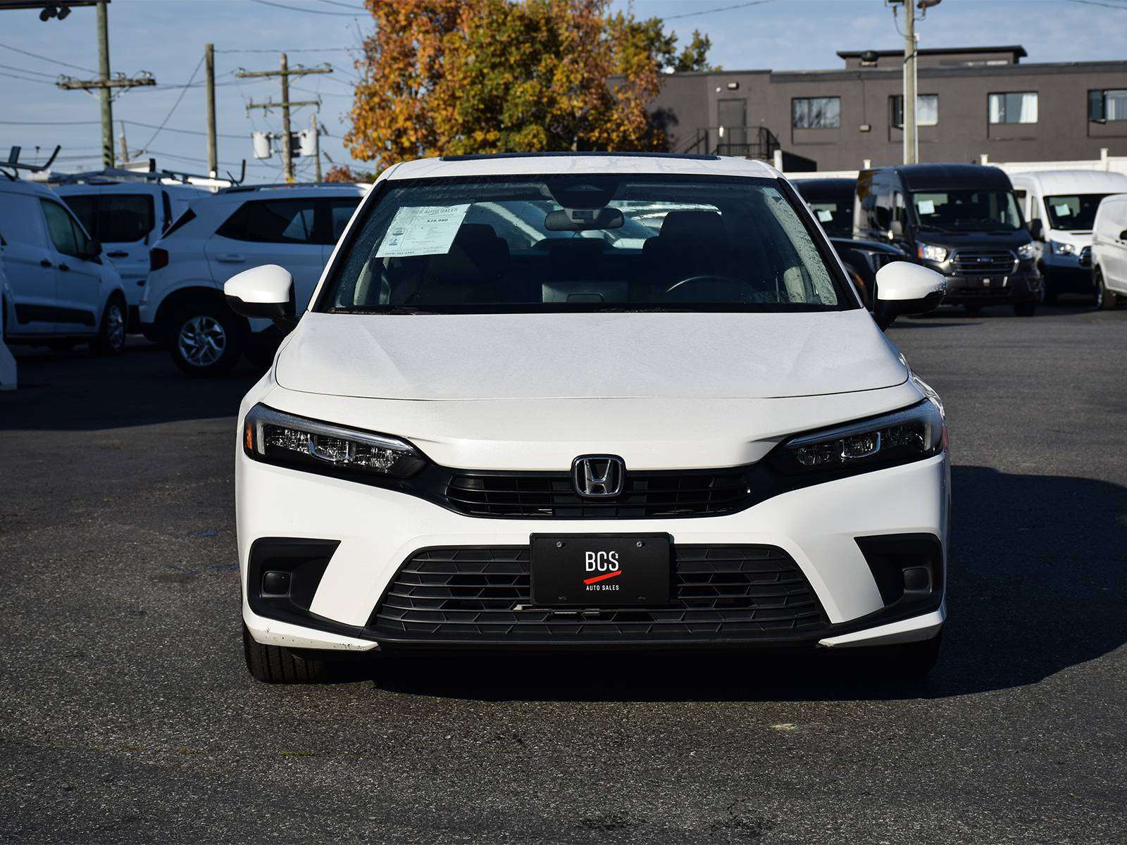 Image 8