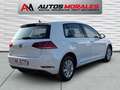 Volkswagen Golf 1.6TDI Advance 85kW Blanco - thumbnail 4