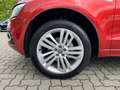 Audi Q5 2.0 TDI S-tronic Quattro S-LINE Xenon NAV Led Rood - thumbnail 9
