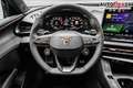 CUPRA Terramar 2,0 TSI DSG 4Drive VZ - LAGER 195 kW (265 PS), ... Grau - thumbnail 7