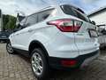 Ford Kuga 2.0 TDCI 4X4 ALLRAD Aut+NAVI+KLIMATR+PDC+SHZ Wit - thumbnail 3