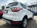 Ford Kuga 2.0 TDCI 4X4 ALLRAD Aut+NAVI+KLIMATR+PDC+SHZ Wit - thumbnail 4