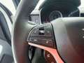 Suzuki Ignis Ignis 1.2h Top 4wd allgrip Bianco - thumbnail 15