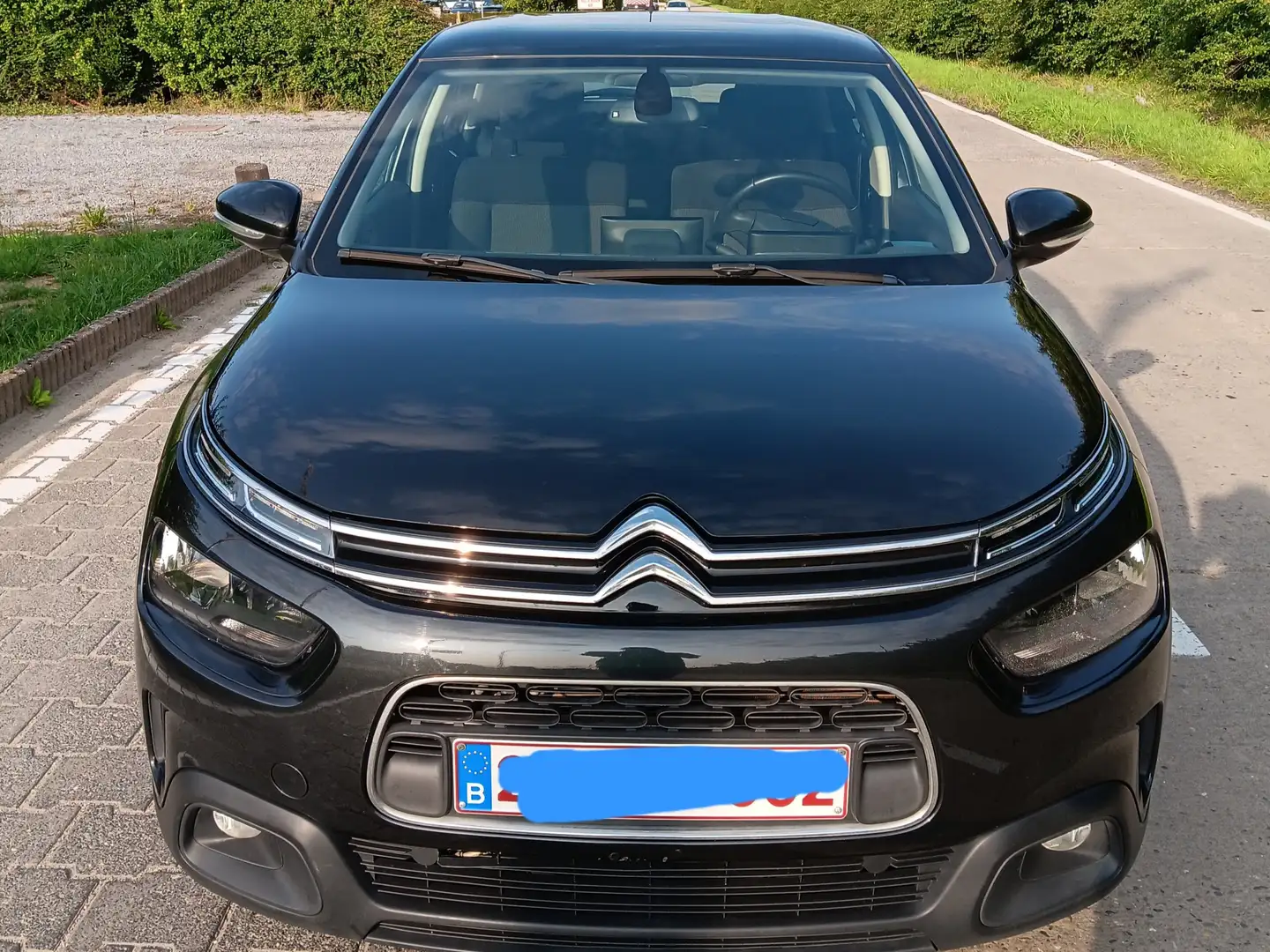 Citroen C4 Cactus C4 Cactus PureTech 110 Stop Black - 1