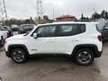 Jeep Renegade 1.6 mjt Opening edition fwd 120 CV Blanc - thumbnail 5