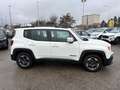 Jeep Renegade 1.6 mjt Opening edition fwd 120 CV Blanc - thumbnail 6
