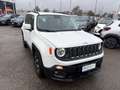 Jeep Renegade 1.6 mjt Opening edition fwd 120 CV Blanc - thumbnail 4