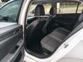 Volkswagen Golf 1.5 eTSI Life Edition GOAL Wit - thumbnail 19