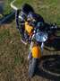 Ducati 1000 Sport Yellow - thumbnail 4