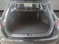 Kia Ceed SW / cee'd SW ceed SW 1,0 T-GDI GPF ISG Titan mit Paket Schwarz - thumbnail 15