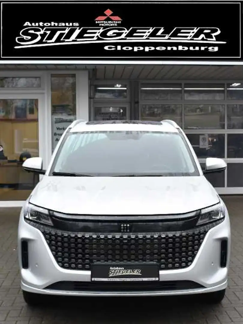 DFSK Sonstige DFSK Fengon E5 1,5 PHEV 7 Sitzer AT Pano Leder Grau - 2