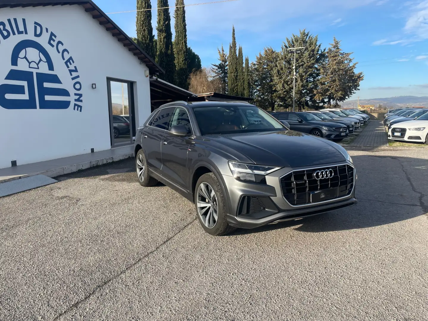 Audi Q8 50 TDI 286 CV quattro tiptronic S-line Grigio - 1
