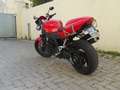 Triumph Speed Triple 955i Black Edition Rosso - thumbnail 3