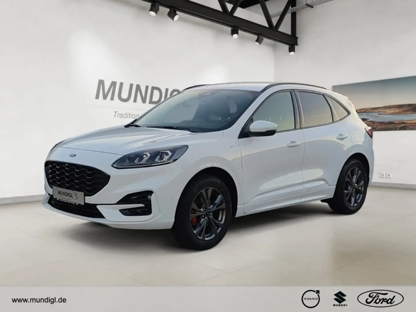 Ford Kuga ST-Line X 2.0 EcoBlue EU6d-T HUD Navi Digitales Co Blanc - 1