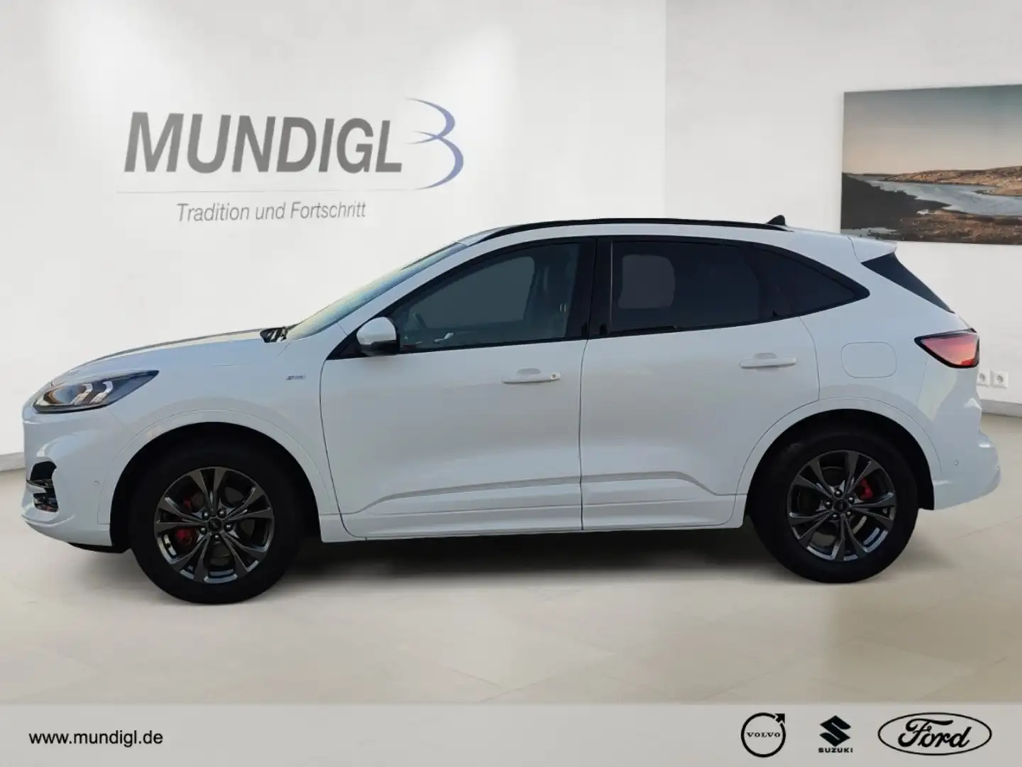 Ford Kuga ST-Line X 2.0 EcoBlue EU6d-T HUD Navi Digitales Co Blanc - 2