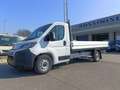 Fiat Ducato MAXI L4 140 CV NUOVO CASSONE FISSO SCATTOLINI Bianco - thumbnail 3