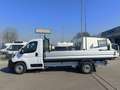 Fiat Ducato MAXI L4 140 CV NUOVO CASSONE FISSO SCATTOLINI Bianco - thumbnail 5