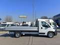 Fiat Ducato MAXI L4 140 CV NUOVO CASSONE FISSO SCATTOLINI Bianco - thumbnail 7