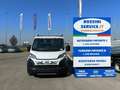 Fiat Ducato MAXI L4 140 CV NUOVO CASSONE FISSO SCATTOLINI Bianco - thumbnail 8