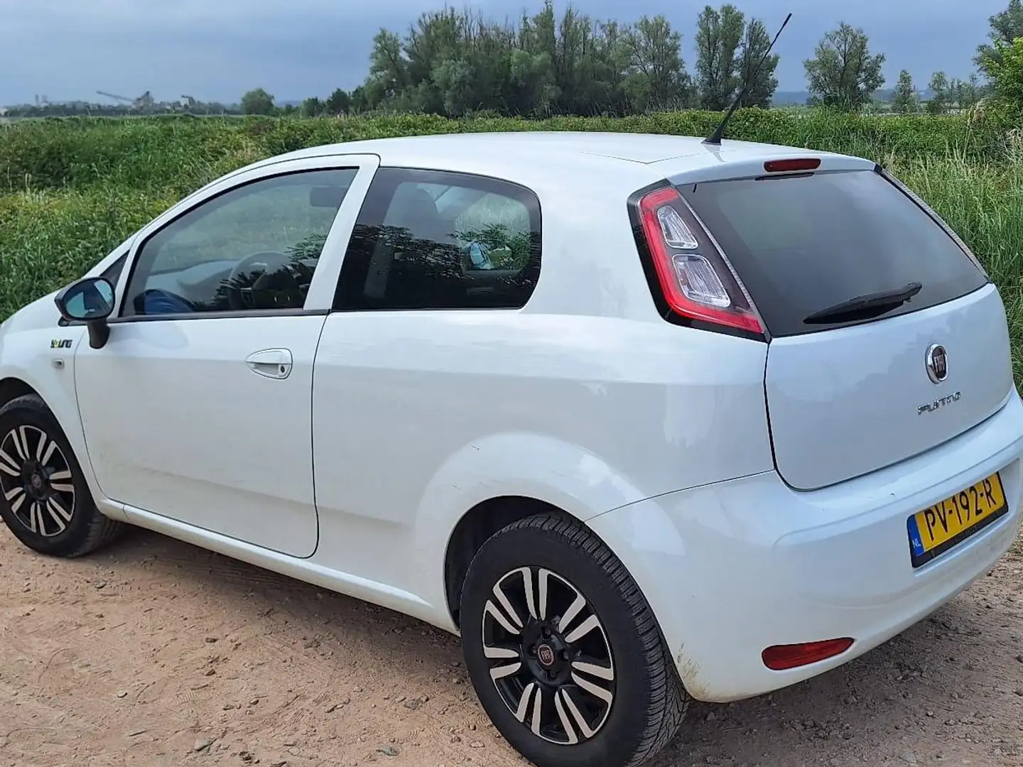 Fiat Punto Evo Wit - 2