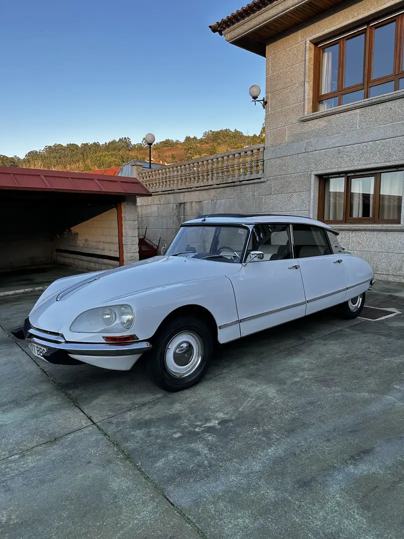 Citroen DS Tiburón Blanco - 2