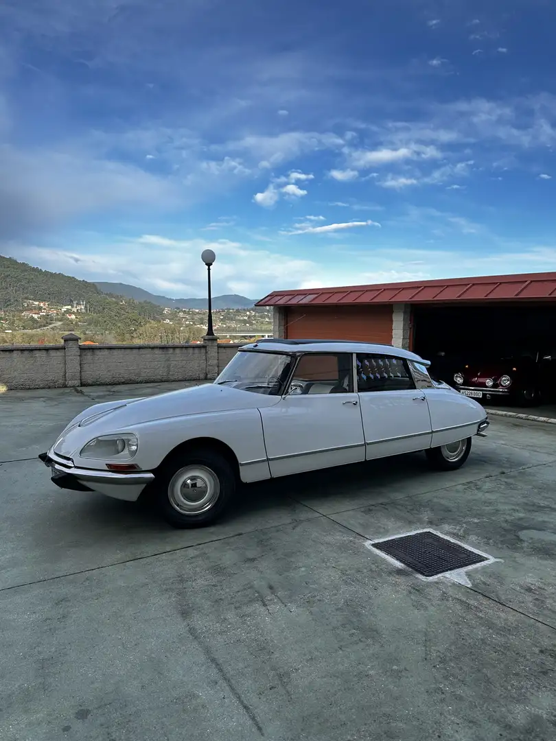 Citroen DS Tiburón Blanco - 1